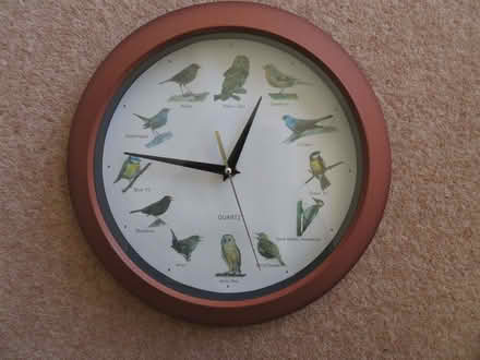 Photo of free Song bird clock. (Purbrook PO7) #1