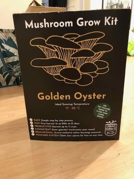Photo of free Mushroom Grow Kit (CV22 - near centre of Rugby) #1