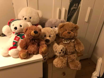 Photo of free Cuddly teddy bears (Whitchurch CF14) #2