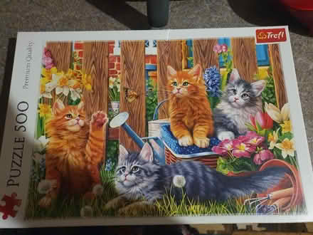 Photo of free Cat puzzle (Beckton E6) #1