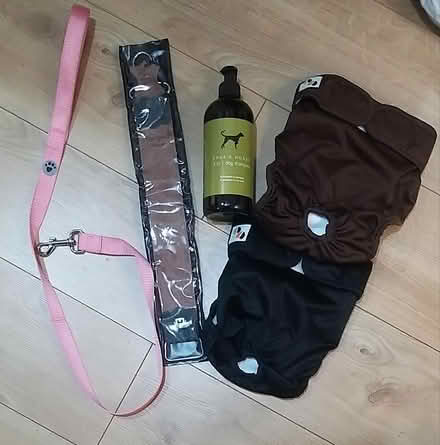 Photo of free Dog Items (Herne Hill, SE24) #1