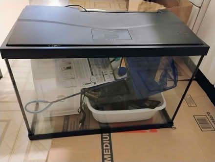 Photo of free 20 gal aquarium (NE Rochester, NY) #1