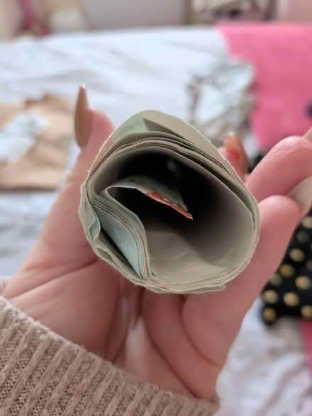 Photo of free Christmas (Little ridge, St Leonards TN37) #4