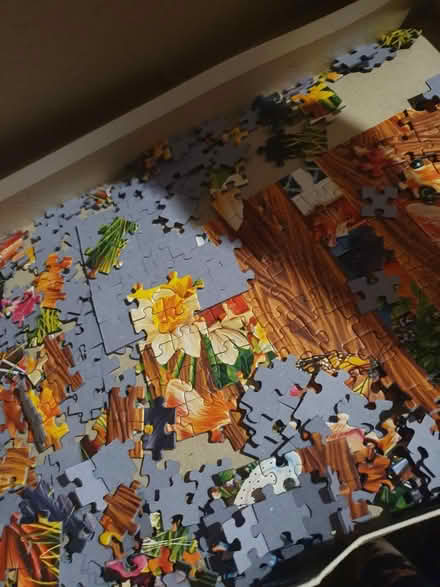 Photo of free Cat puzzle (Beckton E6) #2