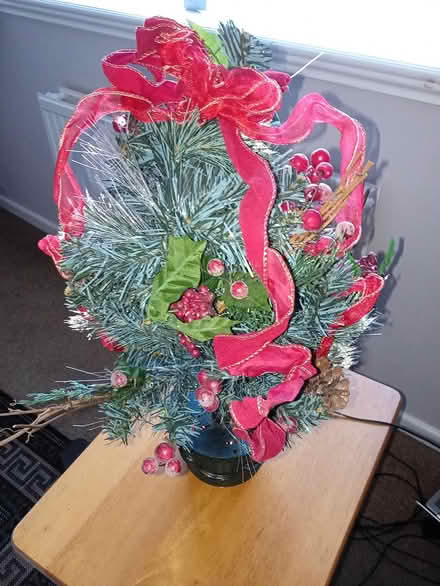 Photo of free Fibre optic Christmas Tree (St Peters WR5) #2