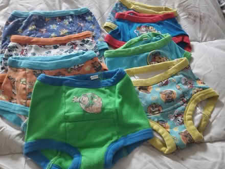 Photo of free Potty training underwear (East, close to NE) #1