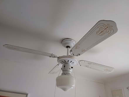 Photo of free Ceiling fan and light (Little Heath RM6) #1