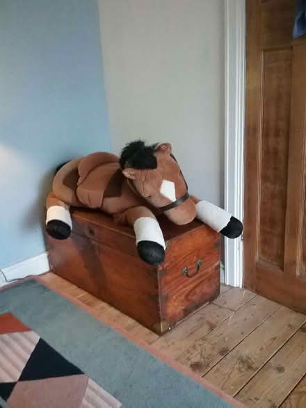 Photo of free Cuddly ride-on Pony (Wrenbury CW5) #2