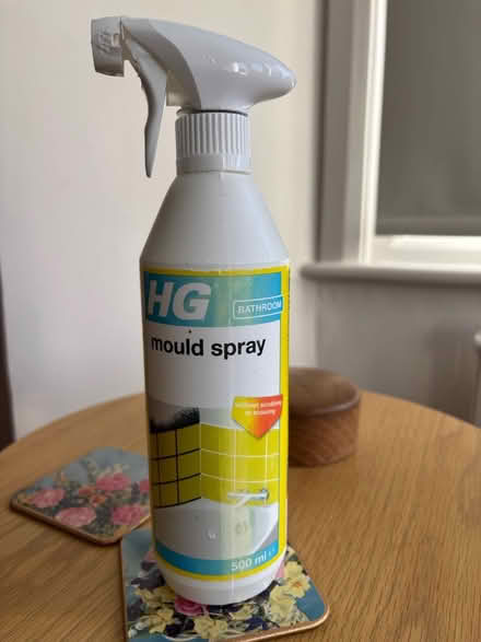 Photo of free HG Mould Spray (Bounds Green N11) #1