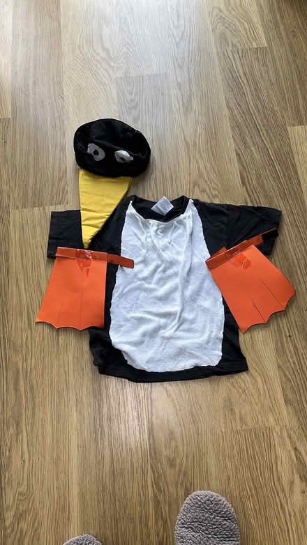 Photo of free Home Made Penguin Outfit for Child (Havant PO9) #1