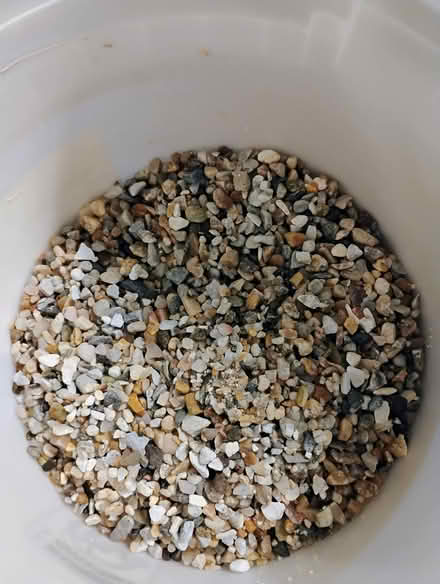 Photo of free 20 gal aquarium (NE Rochester, NY) #4