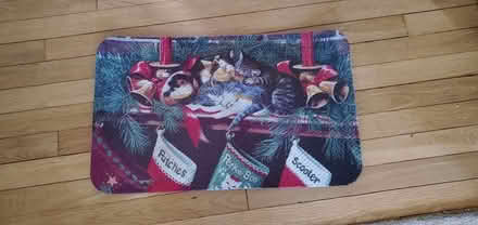 Photo of free Cat Christmas welcome mat (Springfield - Scenic Hills) #1