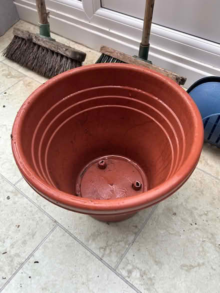 Photo of free Large plastic plant pot (IP4) #1