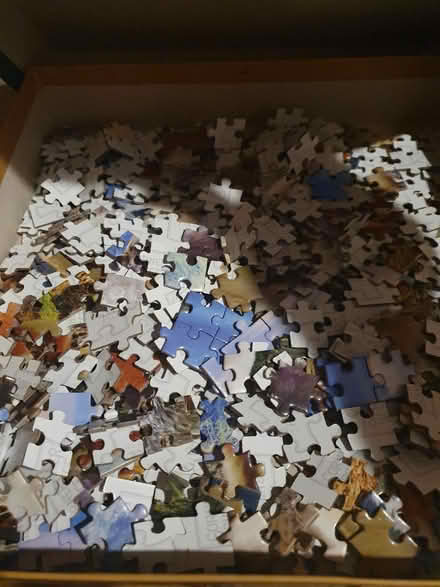 Photo of free Mountain Llamas jigsaw puzzle (Beckton E6) #2