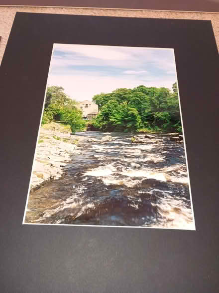 Photo of free Yorkshire photographic prints (Knaresborough HG5) #1