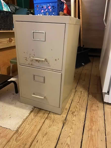 Photo of free steel file cabinet (Strafford/Wayne) #1