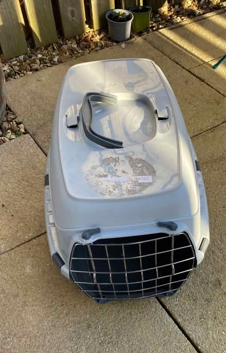 Photo of free Cat /animal plastic carrier (Plumpton CA11) #2