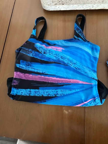 Photo of free Two one piece bathing suits L (Southfield) #1