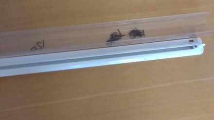 Photo of free Curtain rails and poles x 4 (Oswestry) #3