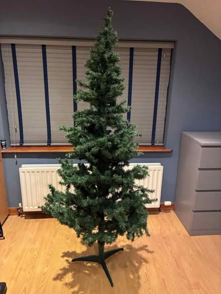Photo of free Artificial Christmas tree (BT8) #1