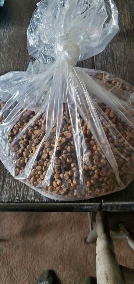 Photo of free Cat food/treats (Springfield - Scenic Hills) #3