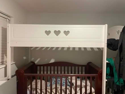 Photo of free Single high bed (Hatfield AL10 0TW) #1