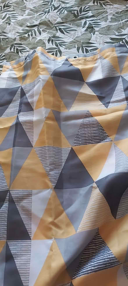 Photo of free Shower curtain (Moseley B13) #1