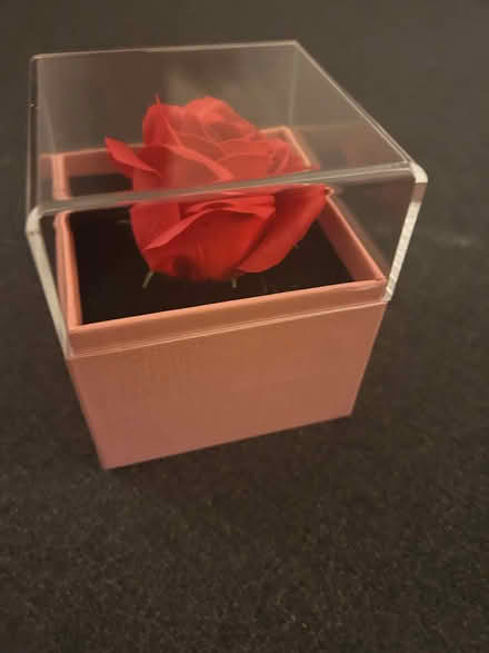 Photo of free Gift box (Knaresborough HG5) #3