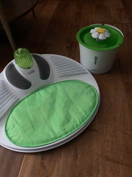 Photo of free Cat items (Charlton) #1