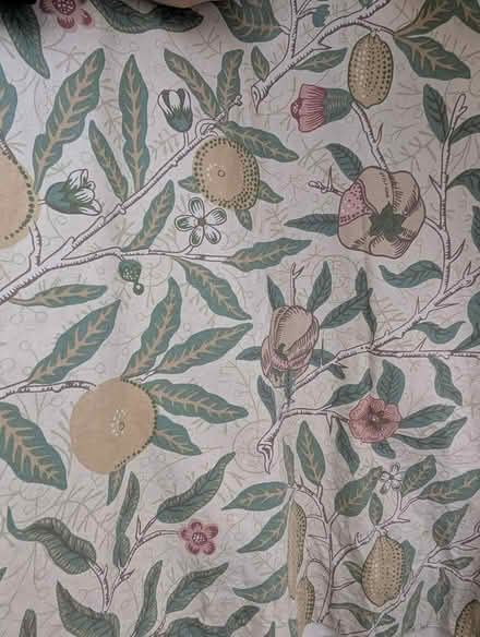 Photo of free Pair of patterned curtains (Seven Sisters N15) #1