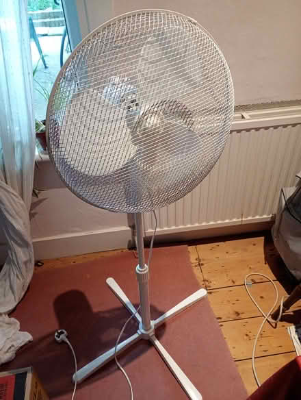 Photo of free Pedestal fan (Streatham Park SW16) #1