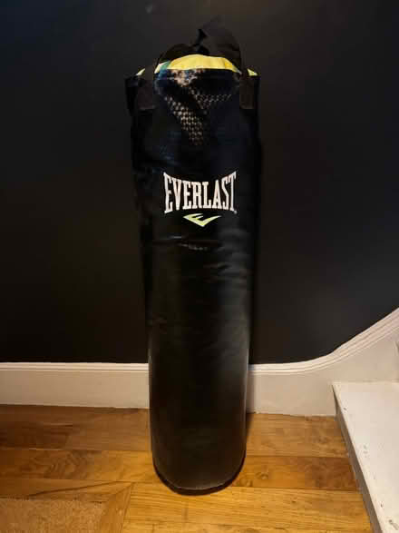 Photo of free Everlast Everstrike punchbag filled (E8 London) #1