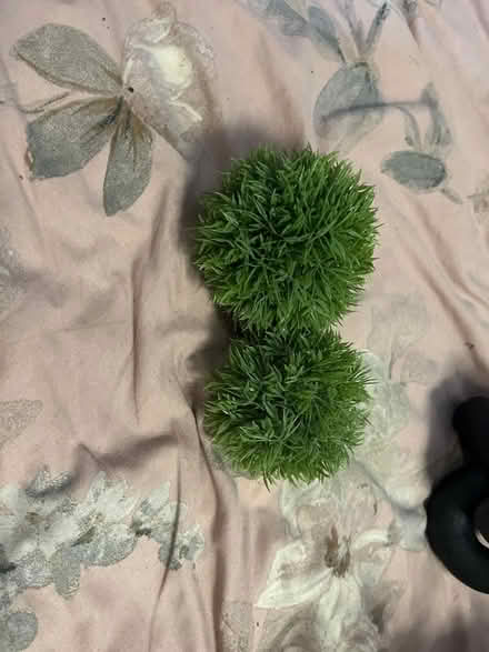 Photo of free Ikea faux plant (Shenley Brook End MK5) #1