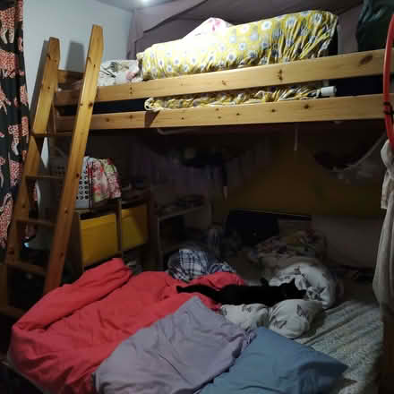 Photo of free Solid pine IKEA double loft bed frame and mattress (Moorlands LA1) #1