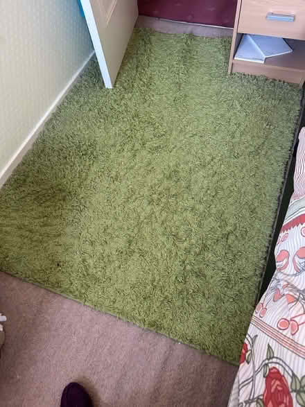 Photo of free Green rug (Harborne Birmingham) #1