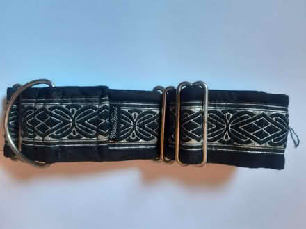 Photo of free Tightening dog collar (Osney OX2) #1