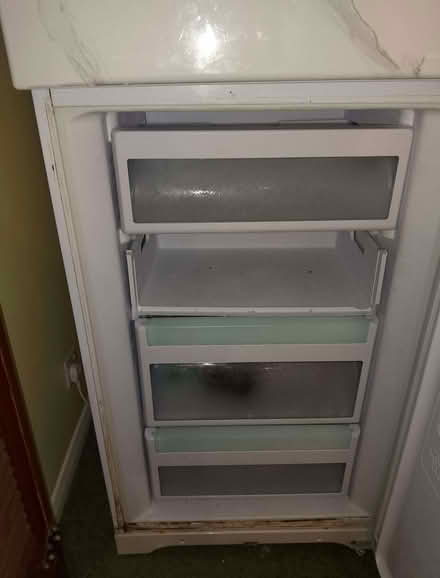 Photo of free Large fridge-freezer (Minchery Farm OX4) #2