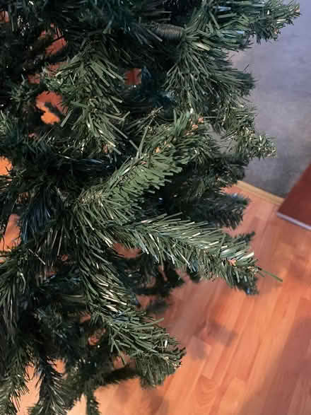 Photo of free 6ft Christmas tree (Kidderminster DY10) #2