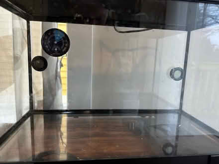 Photo of free 20 gal terrarium w/ accessories (Cap Hill) #3