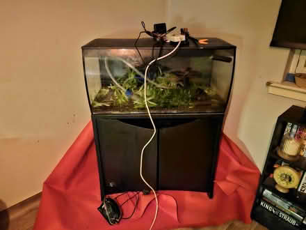 Photo of free Fluval 123lt (Whitfield DD4) #2