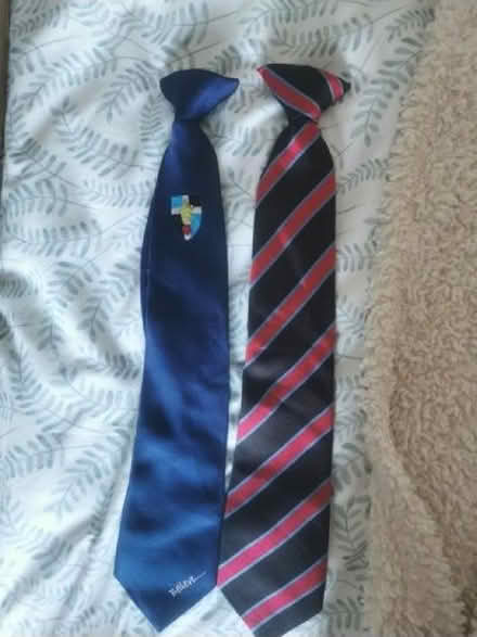 Photo of free Ripley school ties (Vale LA1) #1