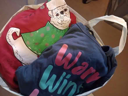 Photo of free Christmas decorations🎄 (Briston NR24) #2