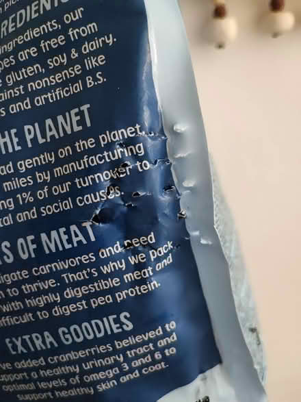 Photo of free Scrumbles kitten/queen cat biscuit (Norwich) #2