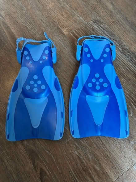 Photo of free Reef Tourer Flippers (Waterlooville PO7) #3