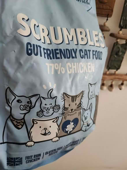 Photo of free Scrumbles kitten/queen cat biscuit (Norwich) #1
