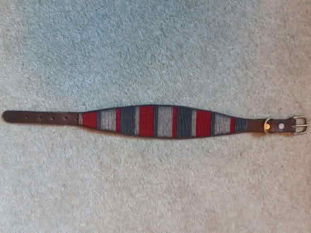 Photo of free Dog collar (Osney OX2) #1