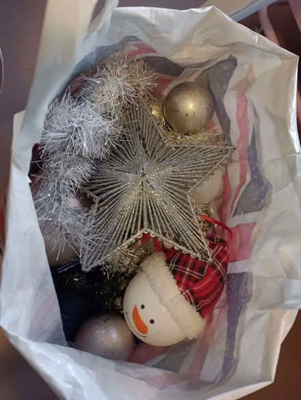 Photo of free Christmas decorations🎄 (Briston NR24) #1