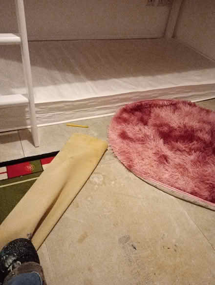 Photo of free Single bed and mattress (Basingstoke RG24) #3