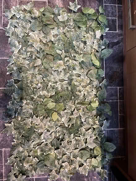 Photo of free Ikea wall plant/flower panel (Shenley Brook End MK5) #1