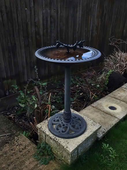 Photo of free Bird bath (Kingsway) #1